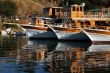 Three Boats In Harbor