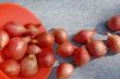 Onion Bulbs And The Bowl