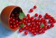 Red Currant And The Bowl On The Towel