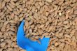 Almonds And Scoop On The Market