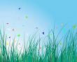 grass background