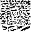 reptiles