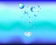 water vector