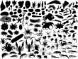 vector mollusks