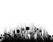 grass and flowers
