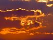 Golden Sunset