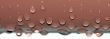 Water Drops