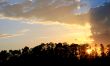 Gold Sunset