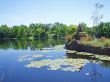 Lake And Trees