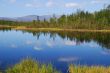 Lake in forest.