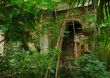 Abandoned house