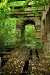 Abandoned house