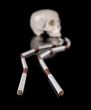 The skull and cigarettes