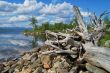 Coast of lake