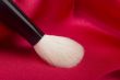 White Brush