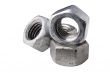Silver Nut