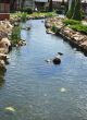 Garden with river