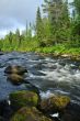The river 