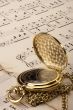 Musical Notes