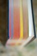 abstract book