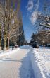 Korolev Avenue in the Town of Korolev