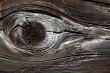 Bird`s Eye