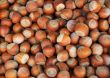 Closeup Image of Unshelled Hazelnuts