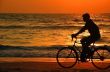 Cycling At Sunset On The Beach