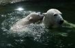 Games in water
