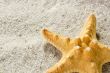 Golden Starfish