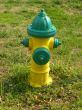 Fire Hydrant Green and Yellow surrouned by grass