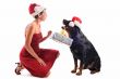 rottweiler, gift and woman