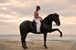 girl and  horse on the beach