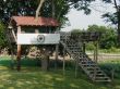 Big Tree House with deck and stairs