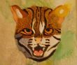 Bobcat Frontal Watercolor