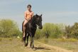 naked man and stallion