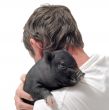 liitle piggy and man