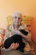  senior and puppy