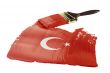 Flag of Turkey