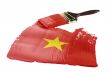 Flag of Vietnam