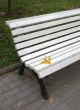 Bench in the autumn park