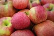 closeup Apples