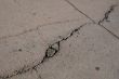 Cracks on Asphalt