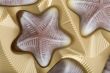 brown chocolate candy close up