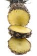 Cutting pineapple closeup