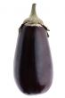 eggplant