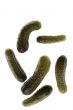 cucumber isolated on white