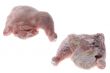 Frozen chicken leg on white background