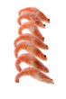 Frozen shrimp close up