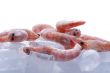 Frozen shrimp on ice